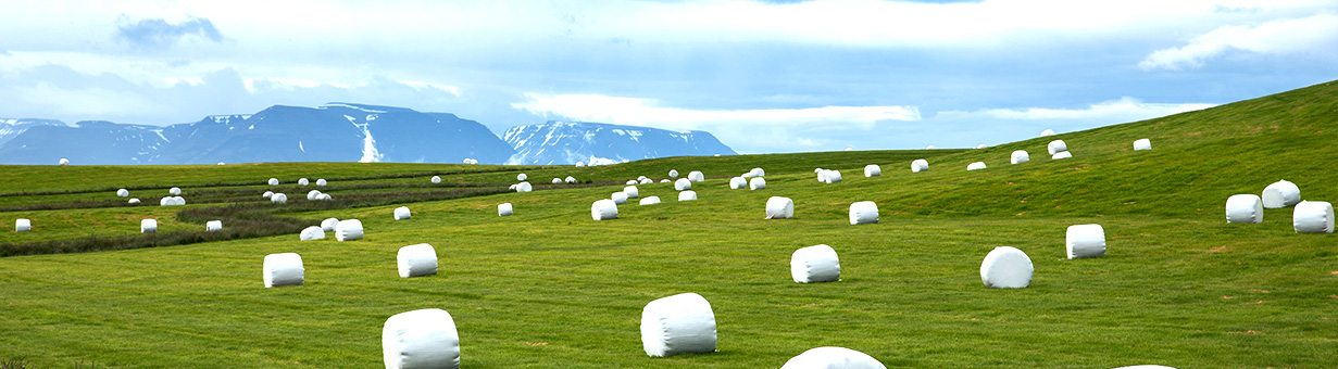 牧草青貯膜, 牧草膜, 青貯膜, 青草膜, Silage film, Agricultural bale film, herbage film 